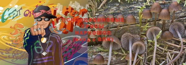 PSILOCYBIN Володарск